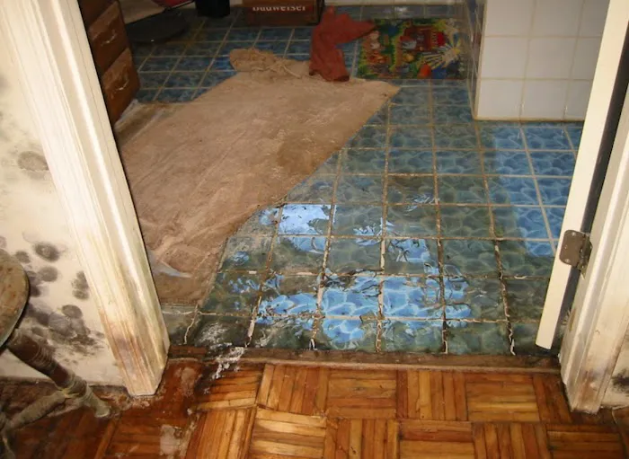 Water Damage Champ Picture 4