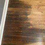 Hopkins Water Damage