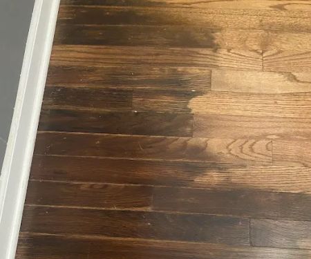 Hopkins Water Damage