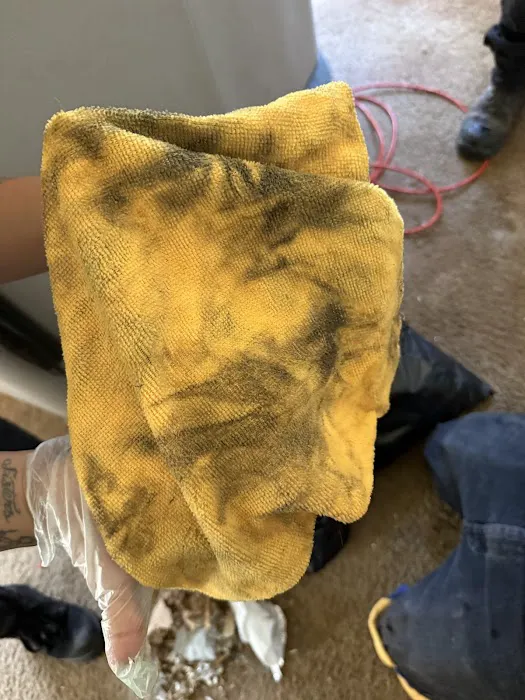 Instant Restoration Picture 8