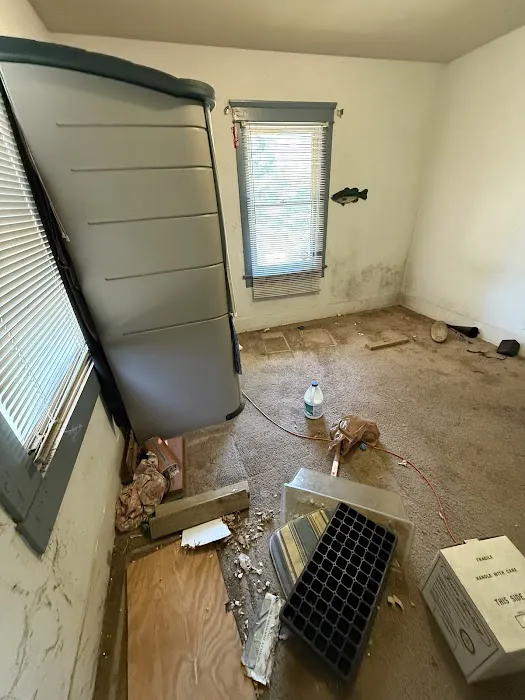 Instant Restoration Picture 6