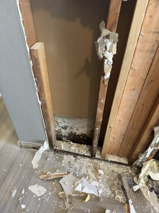 Instant Restoration Picture 3