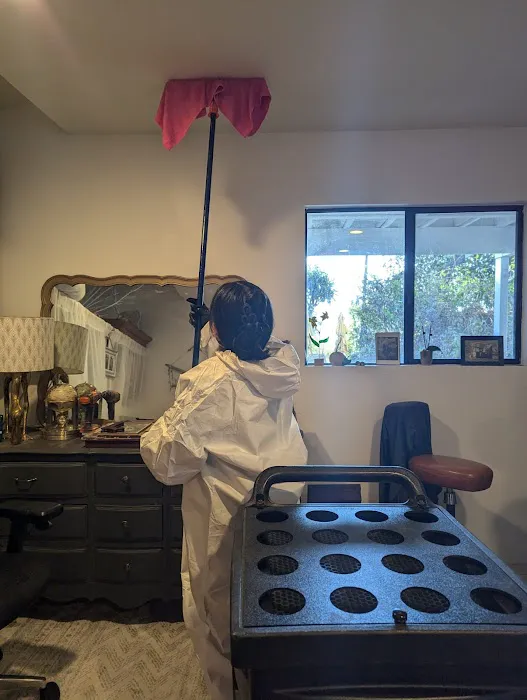 Save Pro Restoration Picture 8