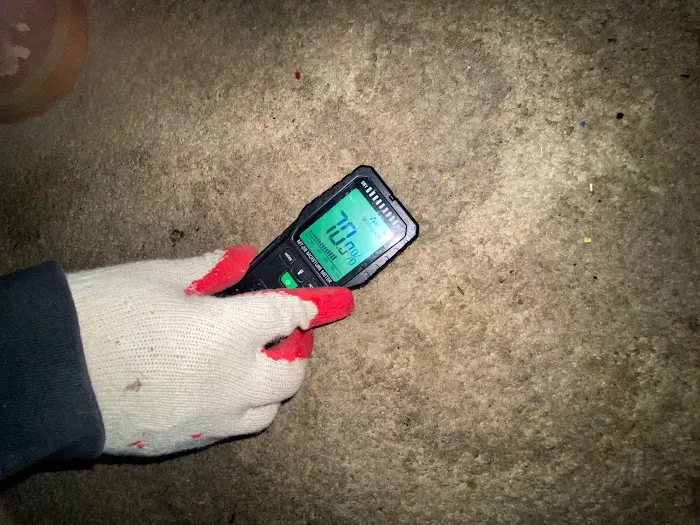 Save Pro Restoration Picture 3