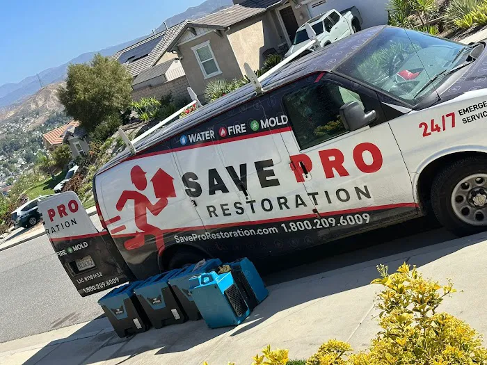 Save Pro Restoration Picture 7