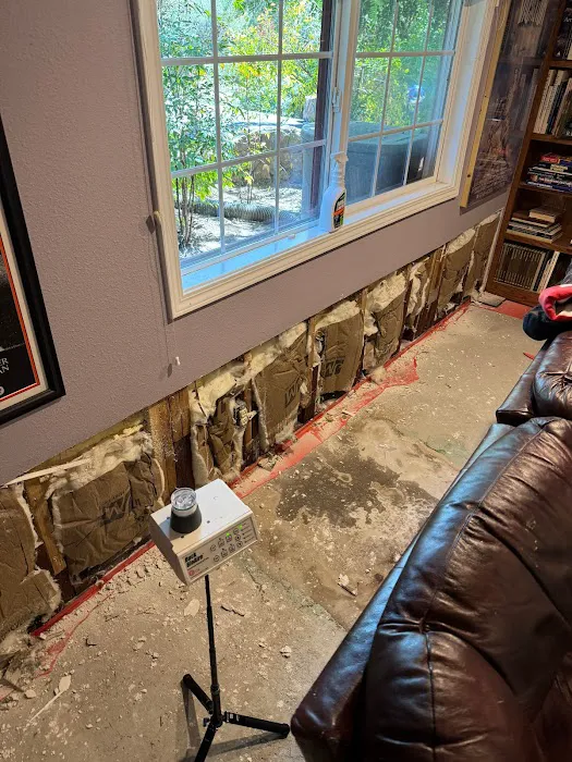 Save Pro Restoration Picture 2