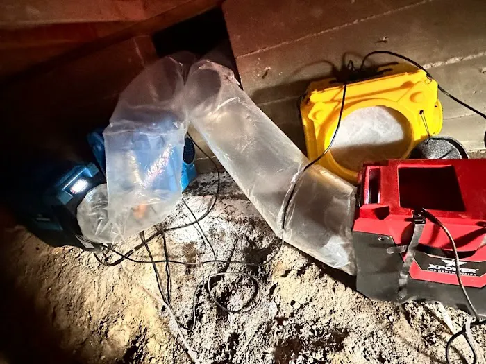 Save Pro Restoration Picture 6