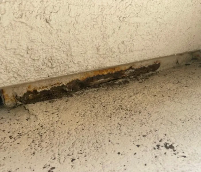 Dr Mold Remediation Picture 4