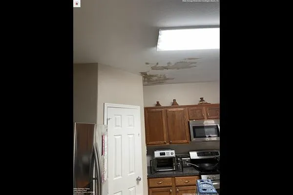 Water Damage Champ Picture 3