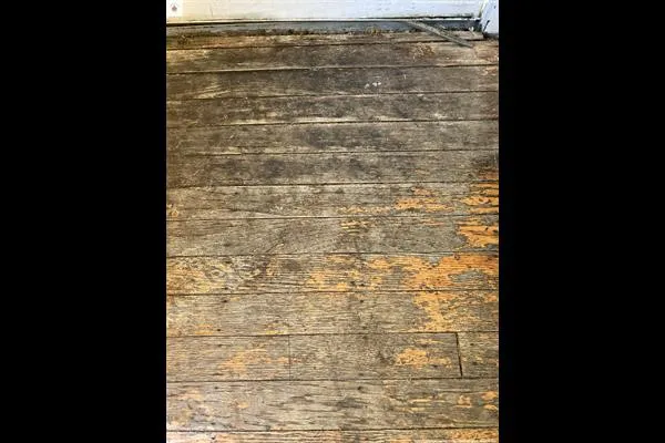 Water Damage Champ Picture 4