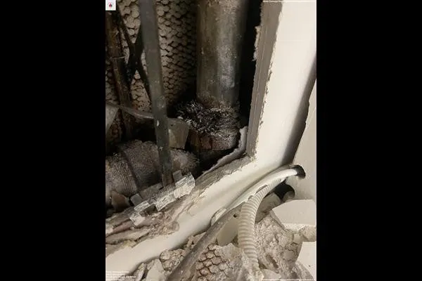 Water Damage Champ Picture 1