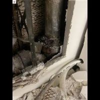 Water Damage Champ ico