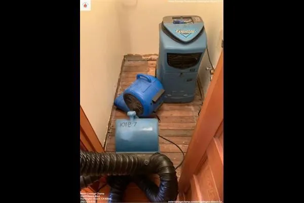 Water Damage Champ Picture 8