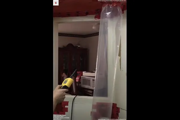 Water Damage Champ Picture 10