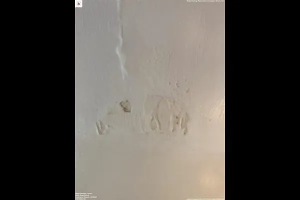 Water Damage Champ Picture 6