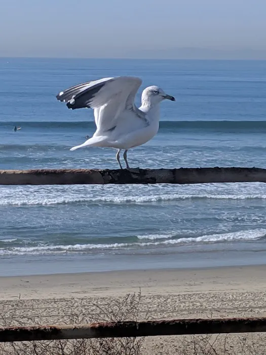 West Coast Restoration Inc Picture 2