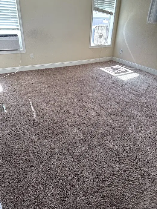 Stanley Steemer Picture 1