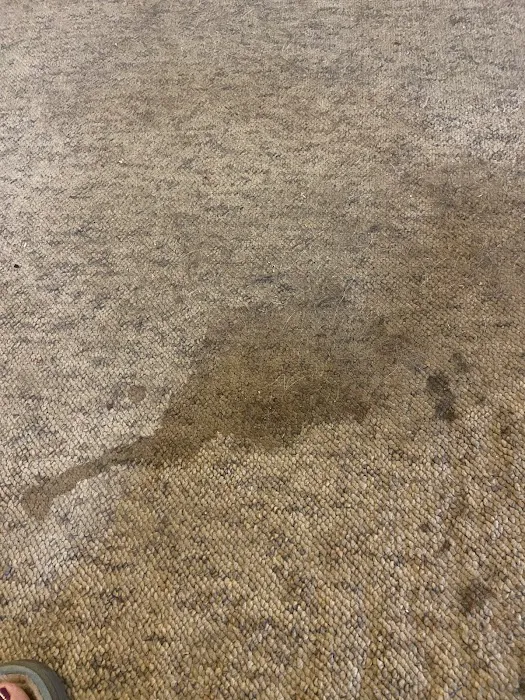 Stanley Steemer Picture 6