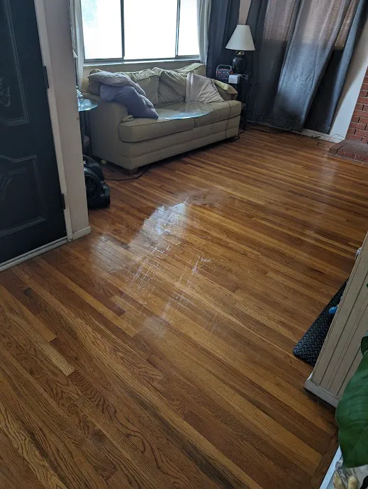 Stanley Steemer Picture 2