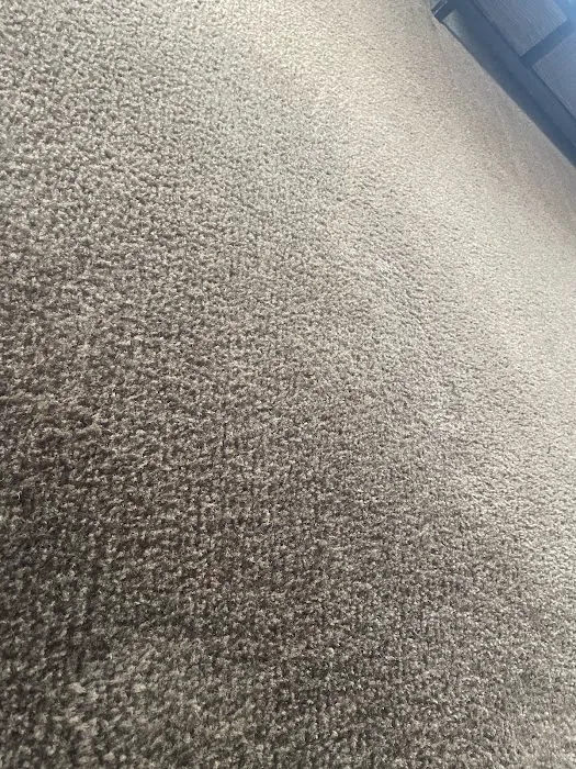 Stanley Steemer Picture 8