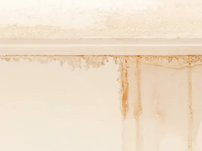 Red White And Blue Restoration Picture 1