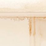 Red White And Blue Restoration