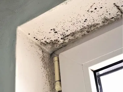 Red White And Blue Restoration Picture 4