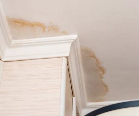 Santa Ana fire and water cleanup