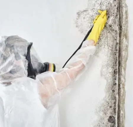 COSTA MESA WATER & FIRE DAMAGE RESTORATION Picture 1