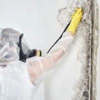 COSTA MESA WATER & FIRE DAMAGE RESTORATION ico