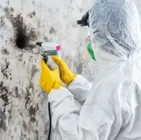 COSTA MESA WATER & FIRE DAMAGE RESTORATION Picture 5