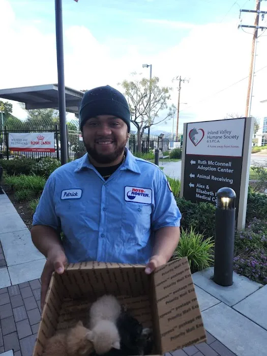 Roto-Rooter Plumbing & Water Cleanup Picture 7