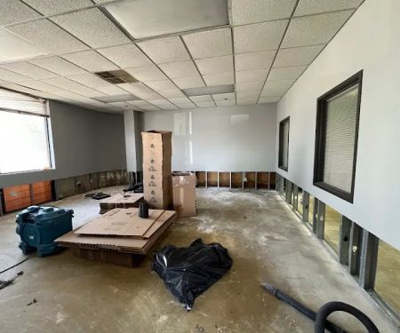 Clear Coast Restoration