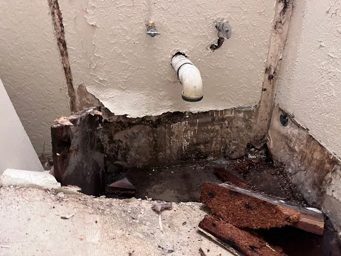 Clear Coast Restoration Picture 3