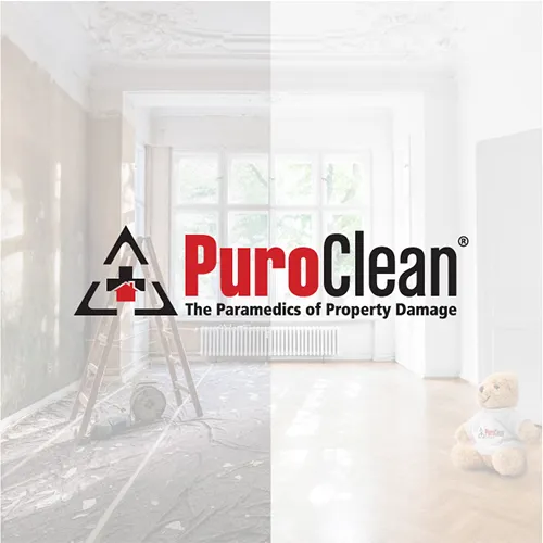 PuroClean of Santa Clarita Picture 3