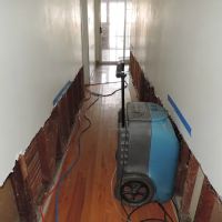 PuroClean Emergency Restoration Specialists ico