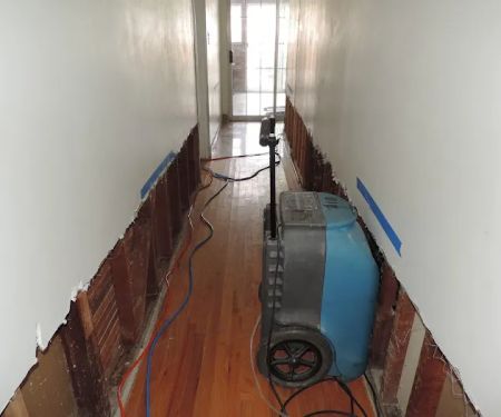 PuroClean Emergency Restoration Specialists