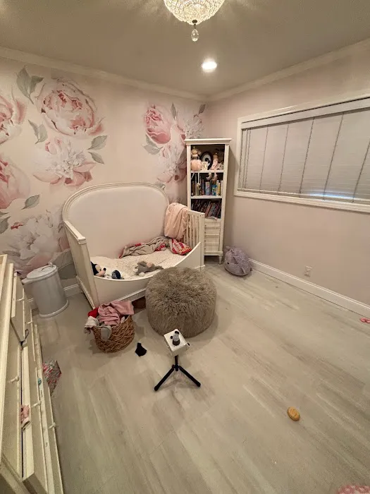 24H Mold Inspection Picture 2