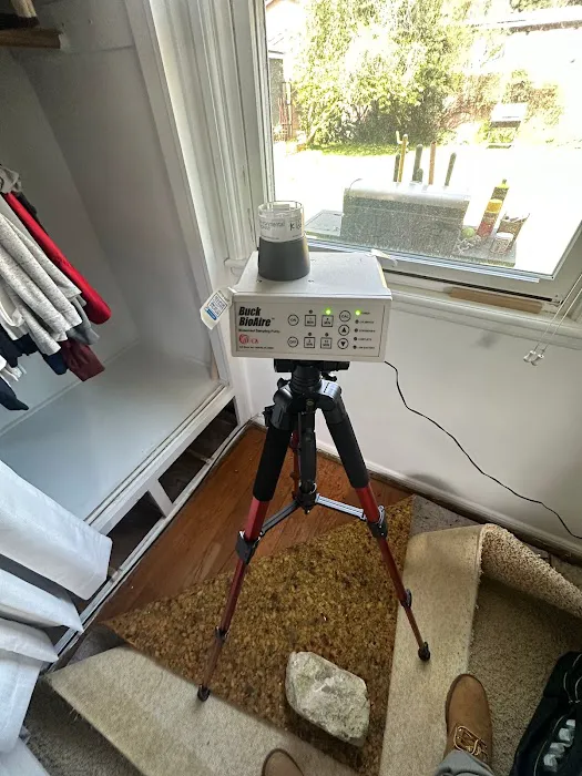 24H Mold Inspection Picture 1