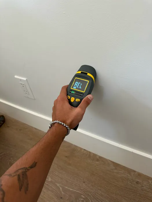 24H Mold Inspection Picture 3