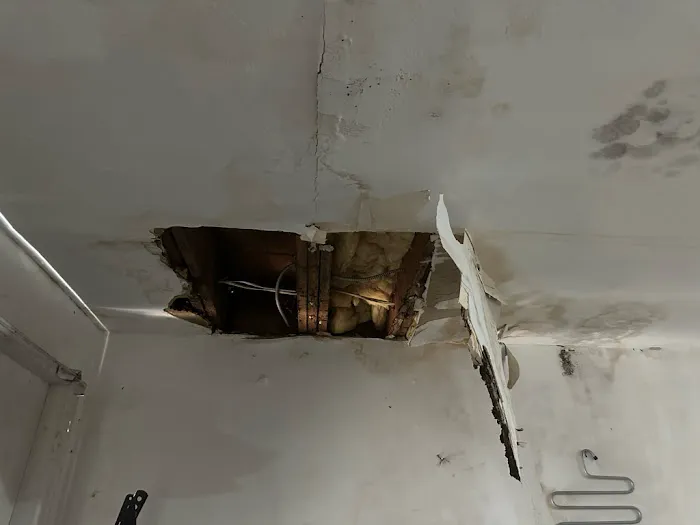 24H Mold Inspection Picture 5