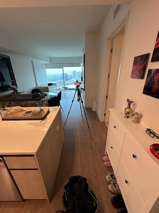 24H Mold Inspection Picture 10