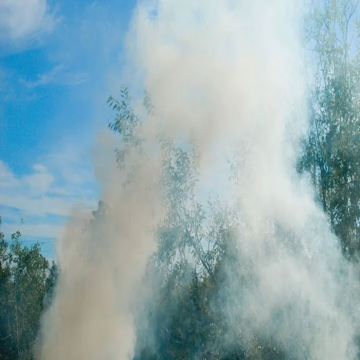 Prime Water Damage Restoration Picture 10