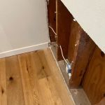 Blue Strength r & Mold