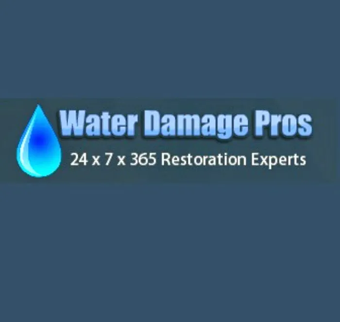 WaterBusters Restoration Picture 2