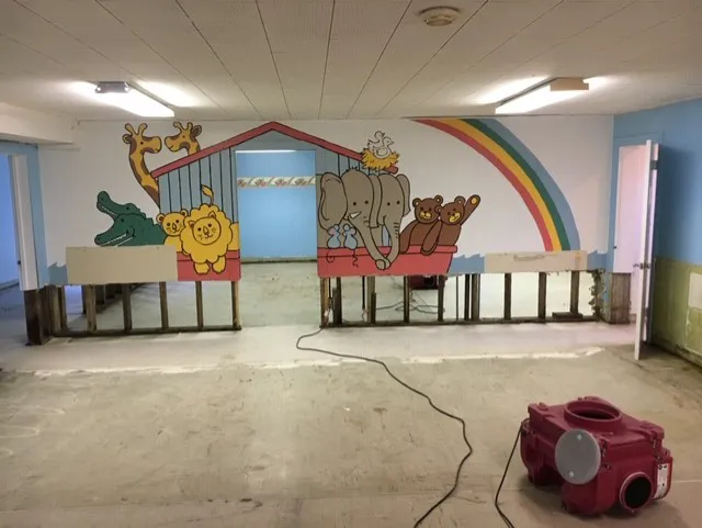 Best Quality Restoration Picture 3