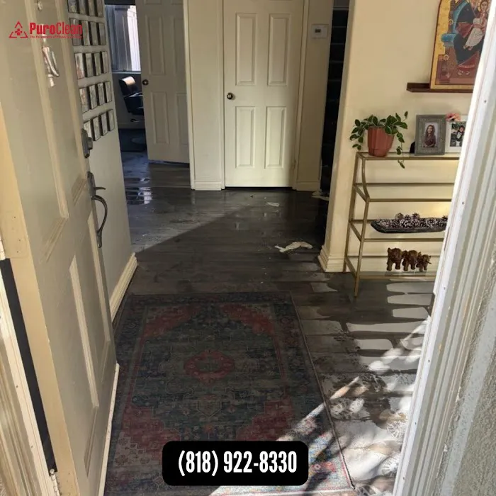 PuroClean of San Fernando Picture 4