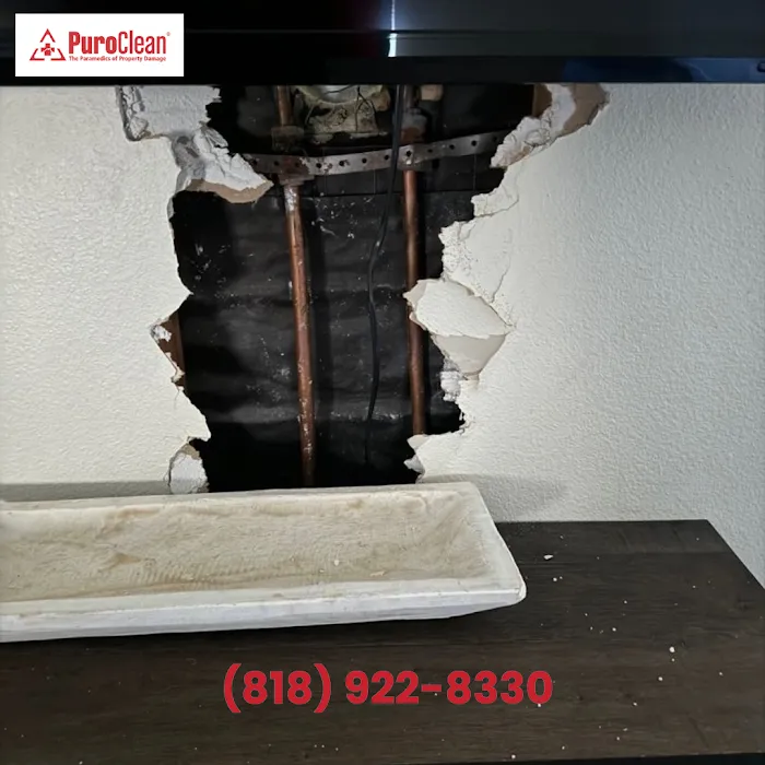 PuroClean of San Fernando Picture 5