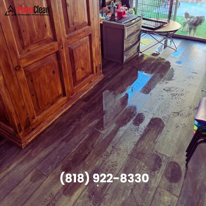 PuroClean of San Fernando Picture 7