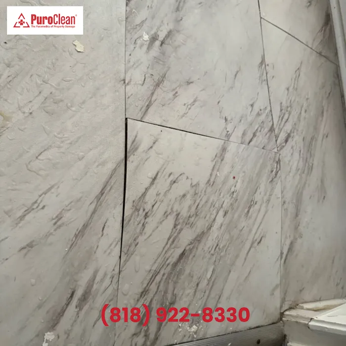 PuroClean of San Fernando Picture 9